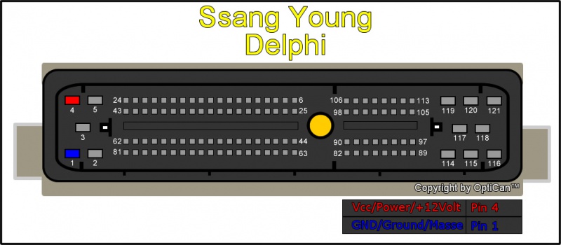 Delphi (Ssang Young) pinout diagram 2